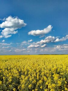 Read more about the article Infrastruktura za električna vozila