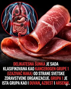 PRAVILA ZA ŽIVOT BEZ BOLESTI
